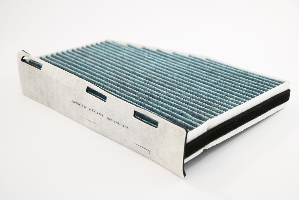 ECO181 Shafer